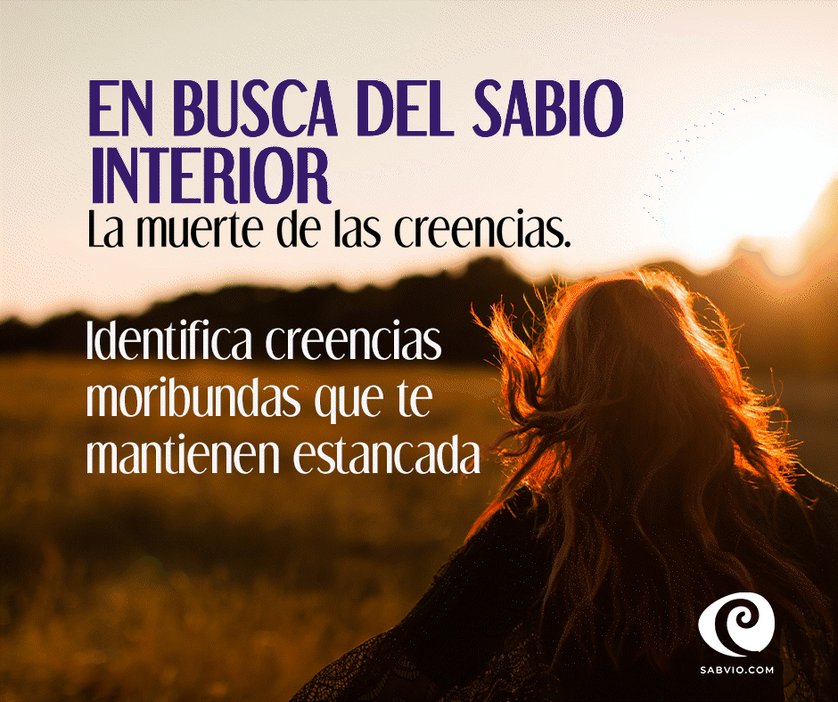 en busca del sabio dentro de ti